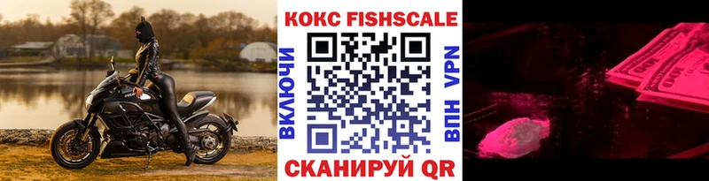 COCAIN FishScale  мега маркетплейс  Нижнекамск 