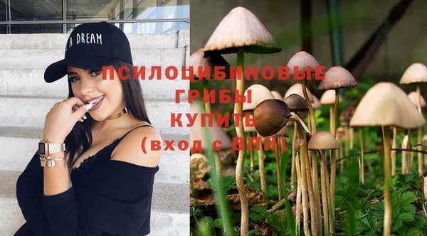 мдпв Верхнеуральск