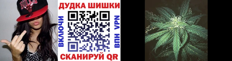 наркотики  Нижнекамск  Канабис индика 